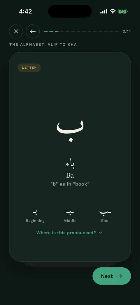 A letter card in the lesson player: one Arabic letter with its name, a pronunciation hint, and its initial, medial and final forms